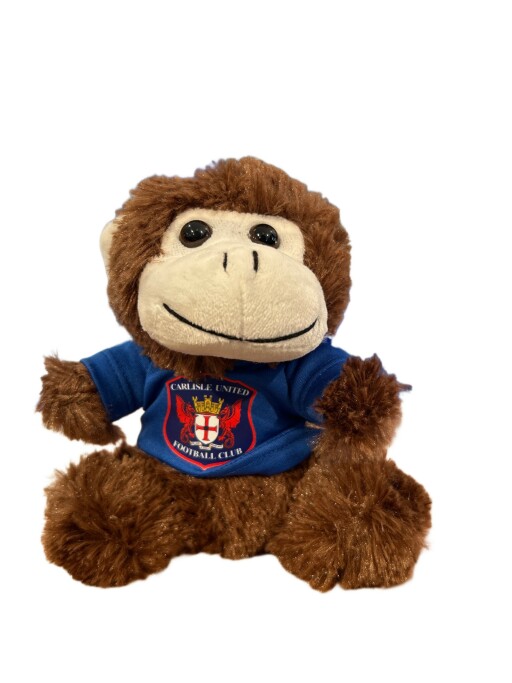 monkey teddy.jpg