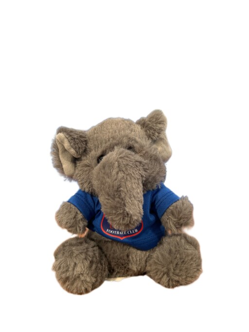 elephant teddy.jpg