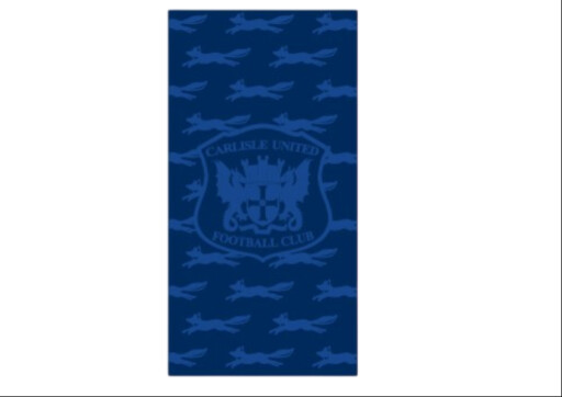 blue fox beach towel 2.jpg