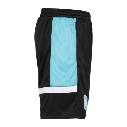 PREMIER_TRAINING_SHORTS_UM2016_BBDC_Side.jpg