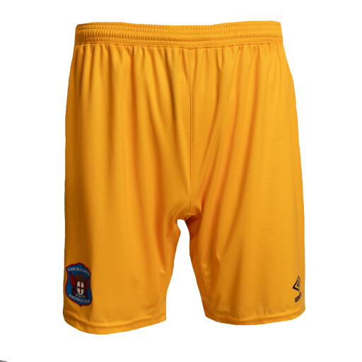 home gk shorts.jpg